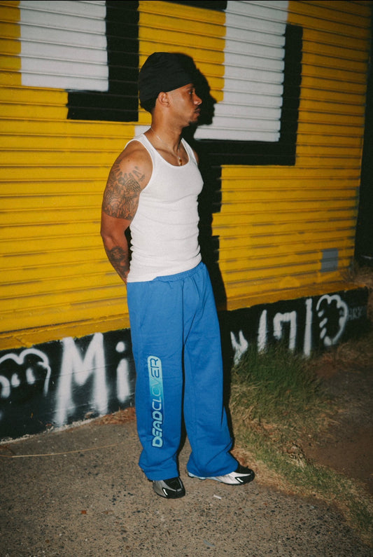 DC Sweatpants